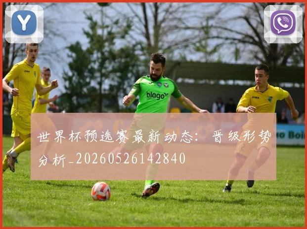 世界杯预选赛最新动态:晋级形势分析_20260526142840